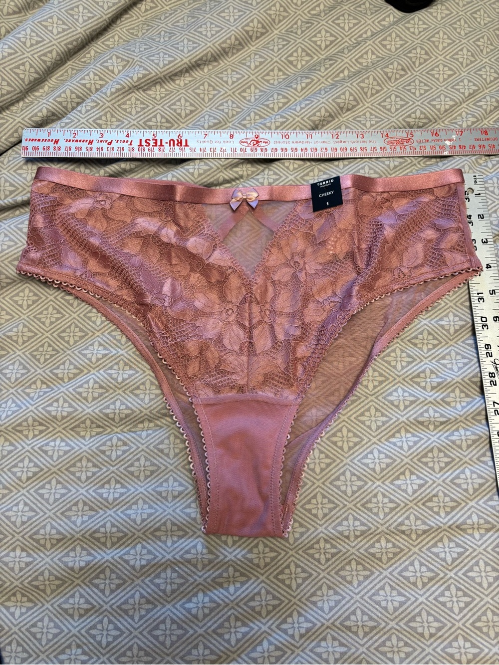 Torrid sz 1 Ava lace high leg cheeky panty in dusty rose. Brand new in bag